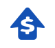 Total recognized gross revenue